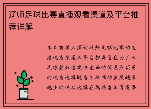 辽师足球比赛直播观看渠道及平台推荐详解